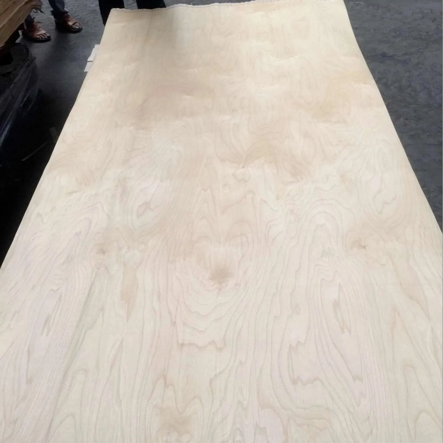 Natural Wood Veneer Birch Veneer Birch Veneer for Sale