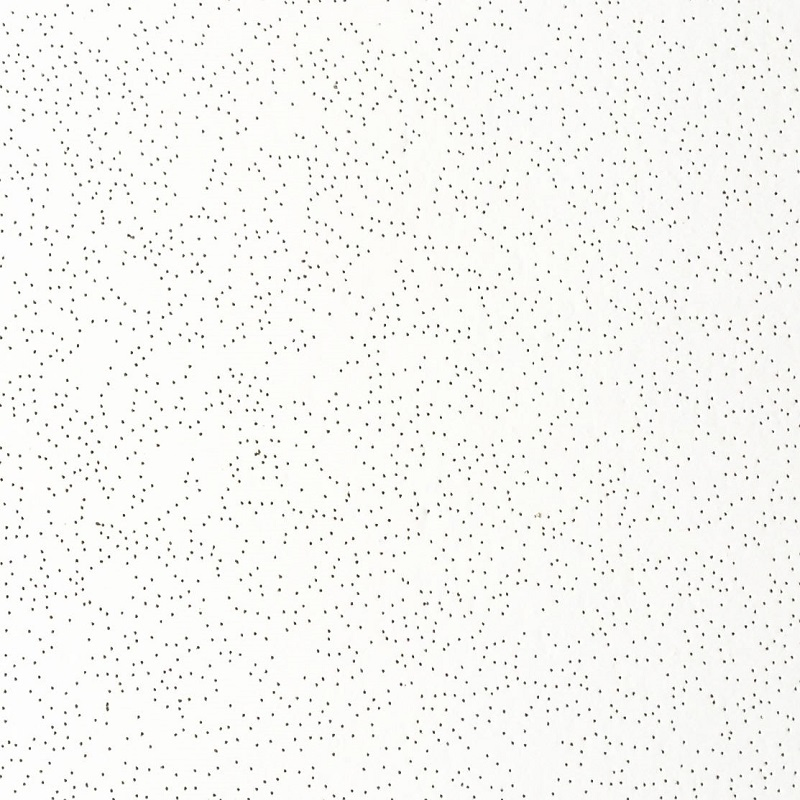 Exquisite Casting Process Acoustic Mineral Fiber Ceiling Tile for Healthcare