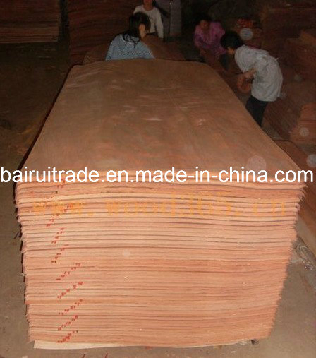 0.3mm Rotary Cut Wood Veneer for Making Plywood