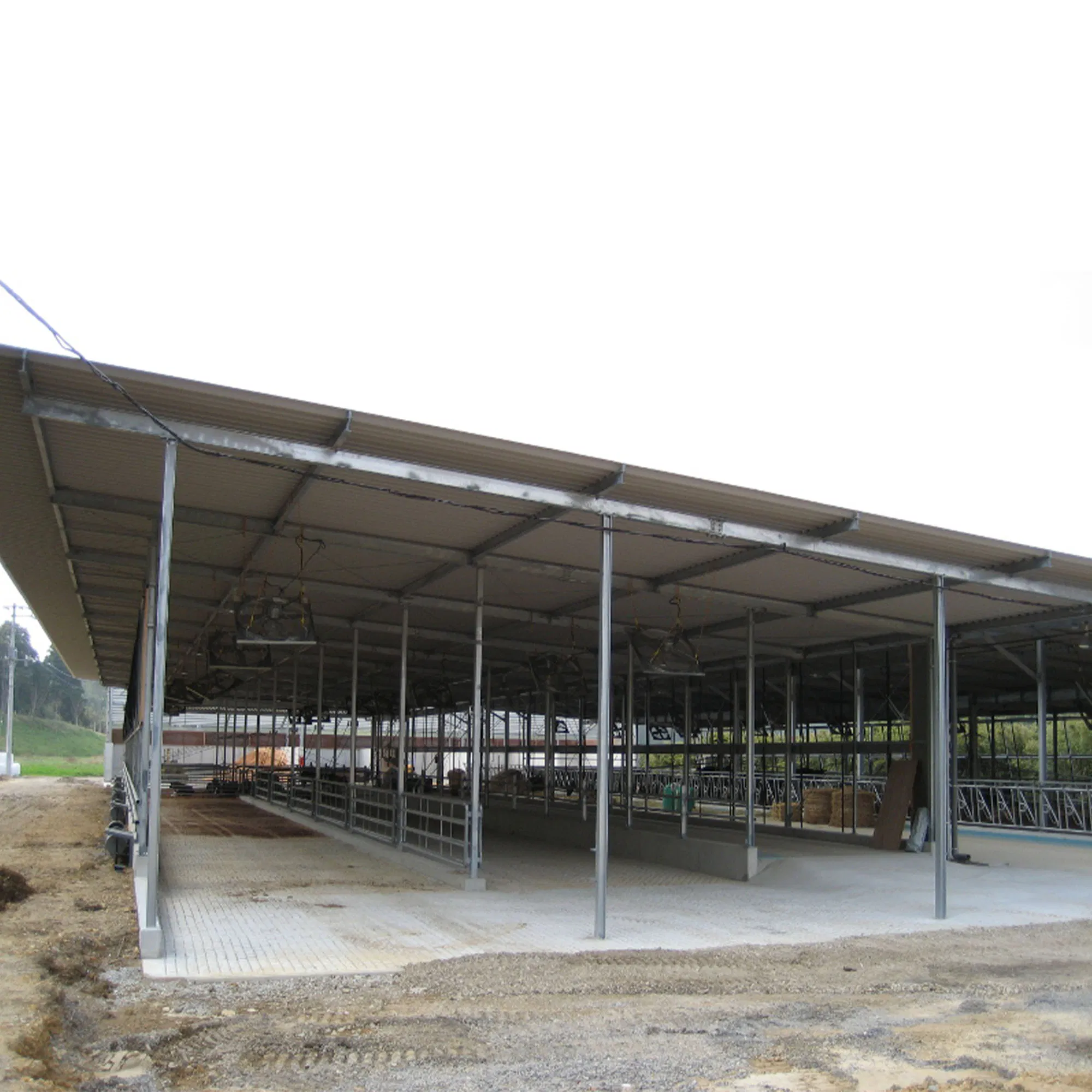 Prefabricated Steel Structure Buildings for Chicken Coop Cattle Shed Sheep Shed Farm