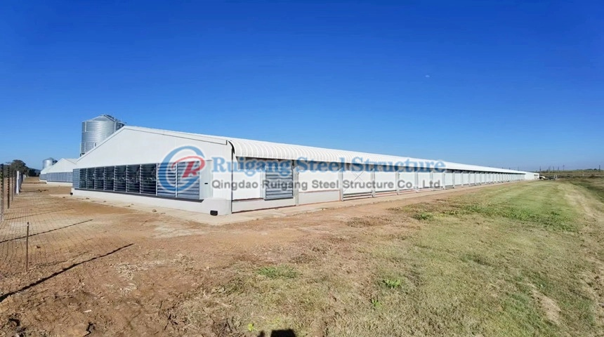 China Design Low Cost Prefabricated Steel Cow / Cattle / Sheep / Chicken Farm Building / House / Barn / Byre