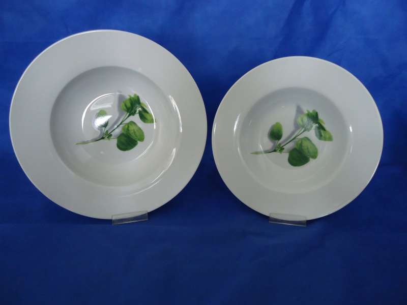 Pasta Dinner Plate, Pasta Plate