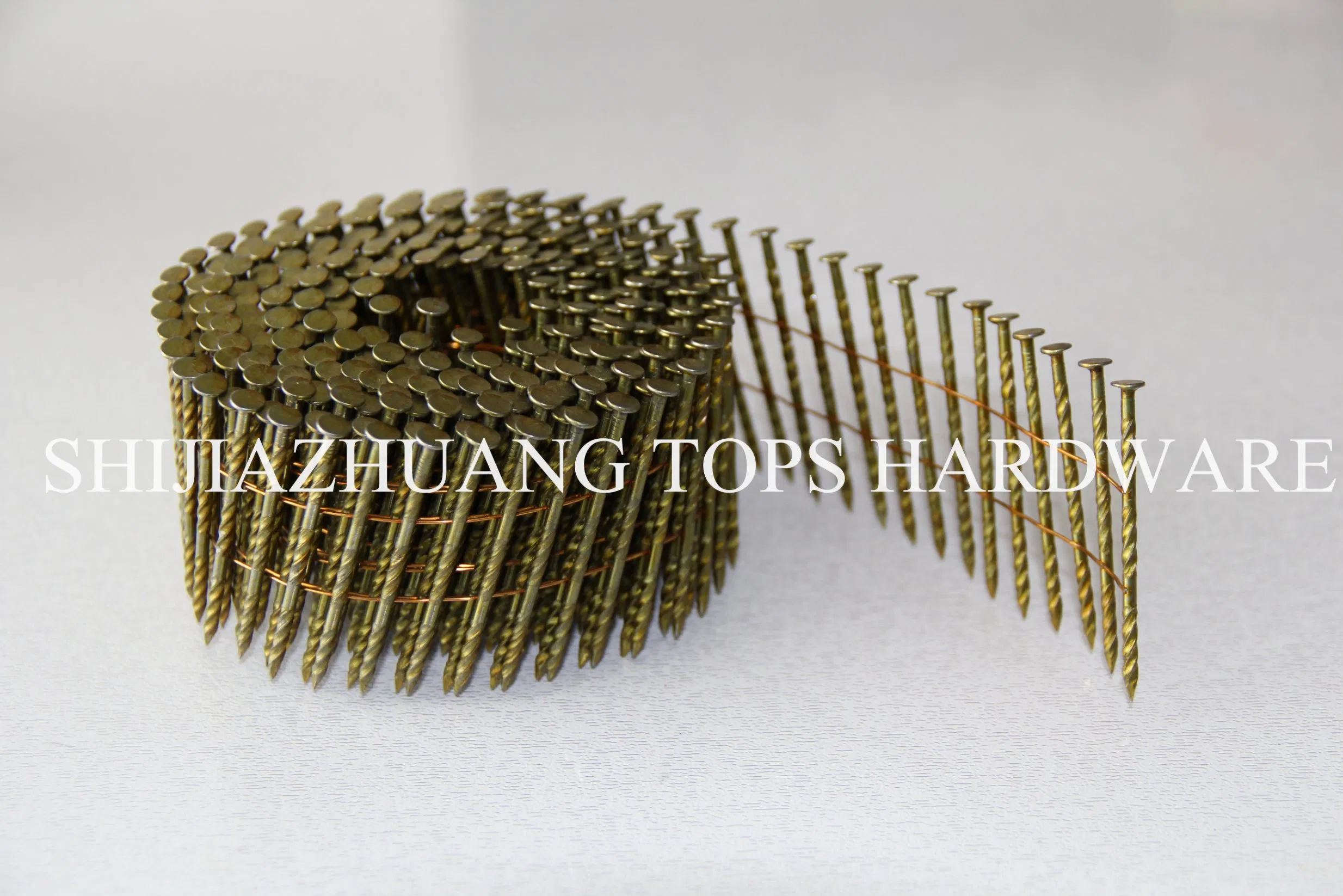 Coil Nail 2.5mm*50mm Galvanized Wood Screws Cheaper Roofing Nail Flat Head