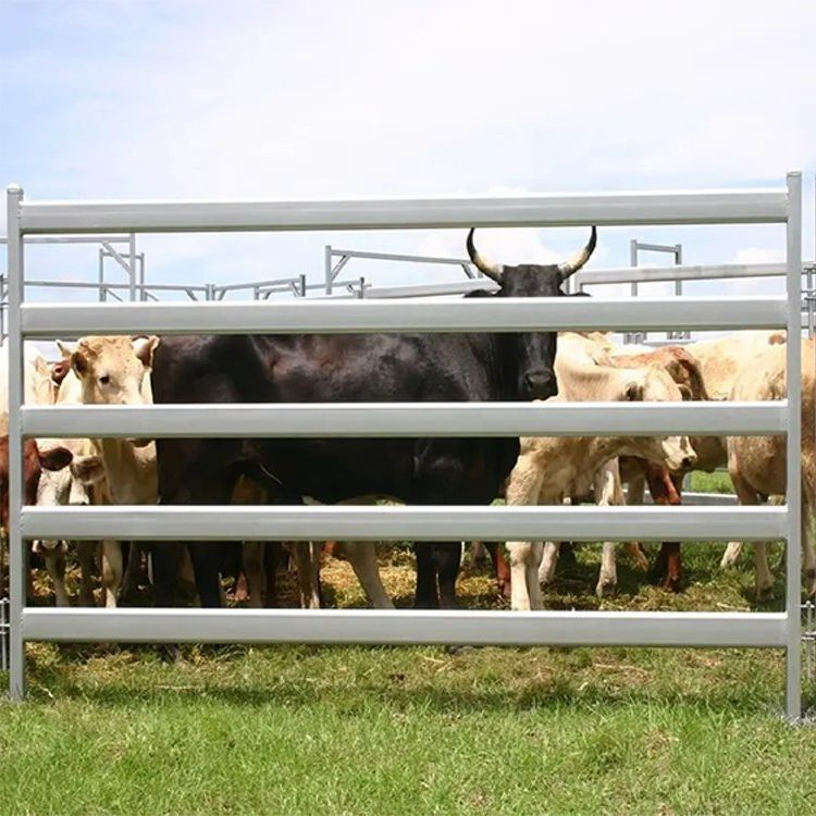 Hot Selling Security Sturdy and Durable Continuous 1.8X2.1m Cattle Horse Sheep Iron Steel Corral Livestock Yard Fence Panel
