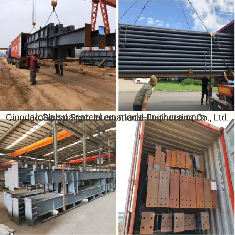 Custom Container Swimming Pool Roof Doom Space Frame Steel Structure Building