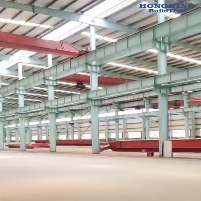 Large Span Steel Building Solution for Projects with Green Wall