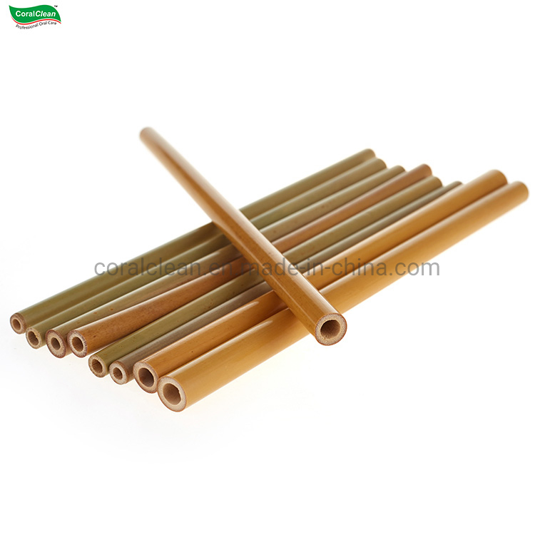 Bamboo Straws for Party Favors Wedding Eco Friendly Bamboo Drinking Straw