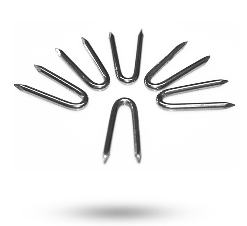 1" 1-1/2" Hot/Electro-Galvanized U Staples/U Nails of Building Tools