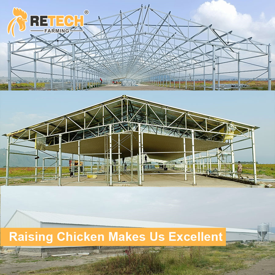 Chicken House with Chicken Cage Egg Layer and Prefab Steel in the Chicken Farm