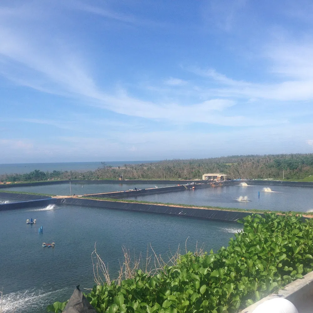 0.5mm 0.75mm 1mm 1.5mm 2.0 mm Anti-Seepage Waterproof Impermeable Pond Liner Landfill Mining Water Reservoir Liner Smooth Textured HDPE Geomembrane