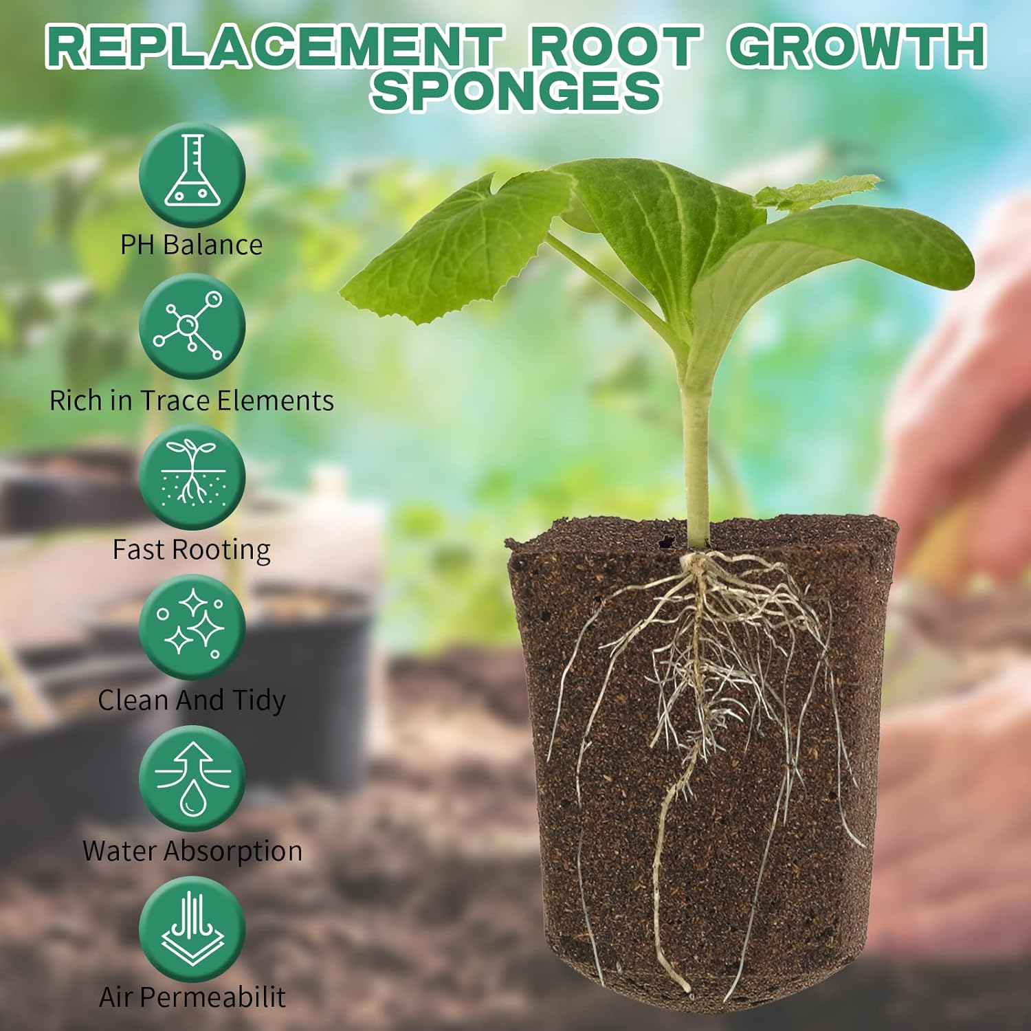 Набор садовый E29 рассада гидропоника кокосовые заглушки торф