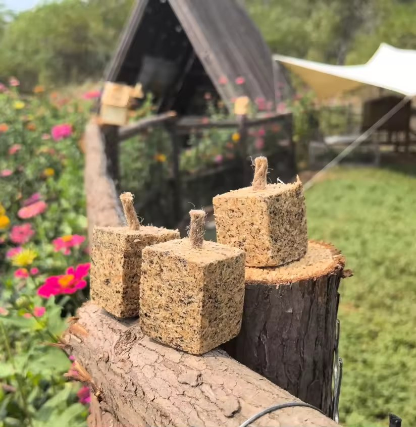 Long-Lasting Candle Fire Starter for Wood Stoves and Camps