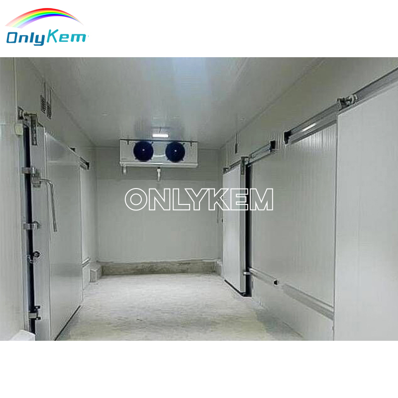 Walk in Freezer Cold Storage Room Standard Sliding Door Manufacturer