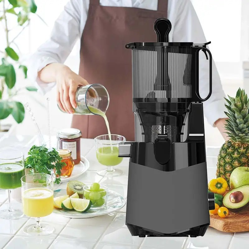 Hot Popular 100% Full Test Multifunctional Parts Slow Juicer Supplier in China