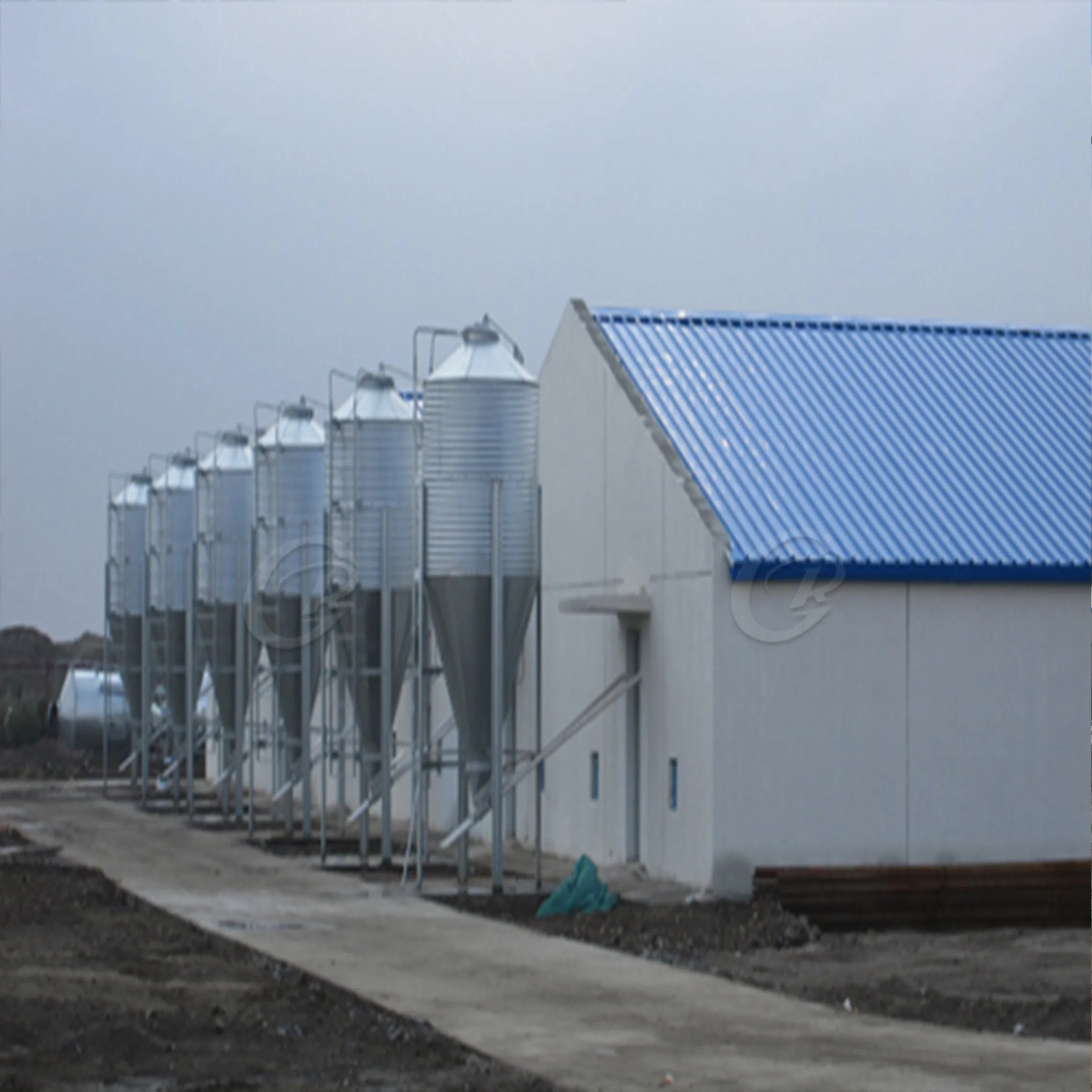 Poultry Farm Business Plan for Chicken House