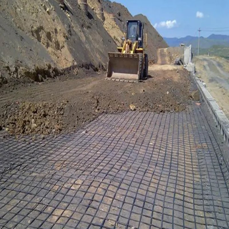 High Density Polyethylene Steel Plastic Geogrid for Soft Ground Reinforcement Polyester Driveway