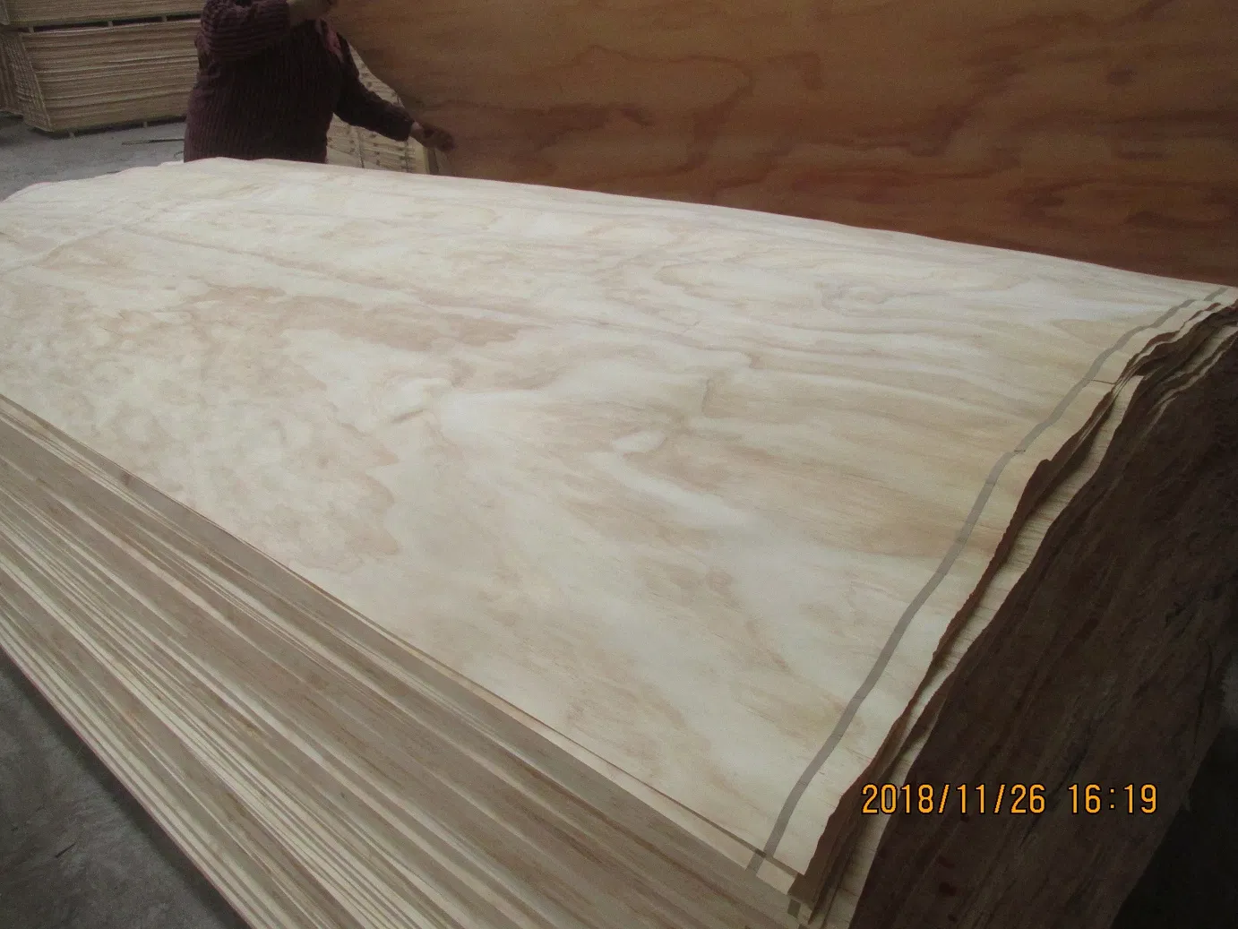 Pine Veneer Pine Veneer 0.6mm 0.7mm Radiata Pine Wood Veneer for Plywood Face and Back