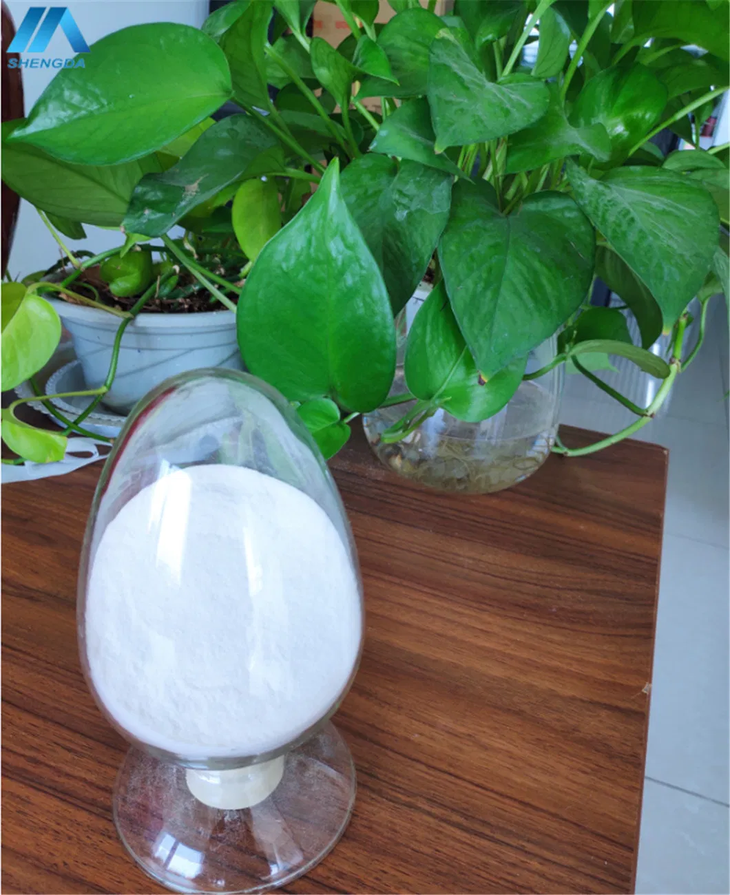 Waterproof Putty Powder in Building Material Additive /HPMC Cellulose