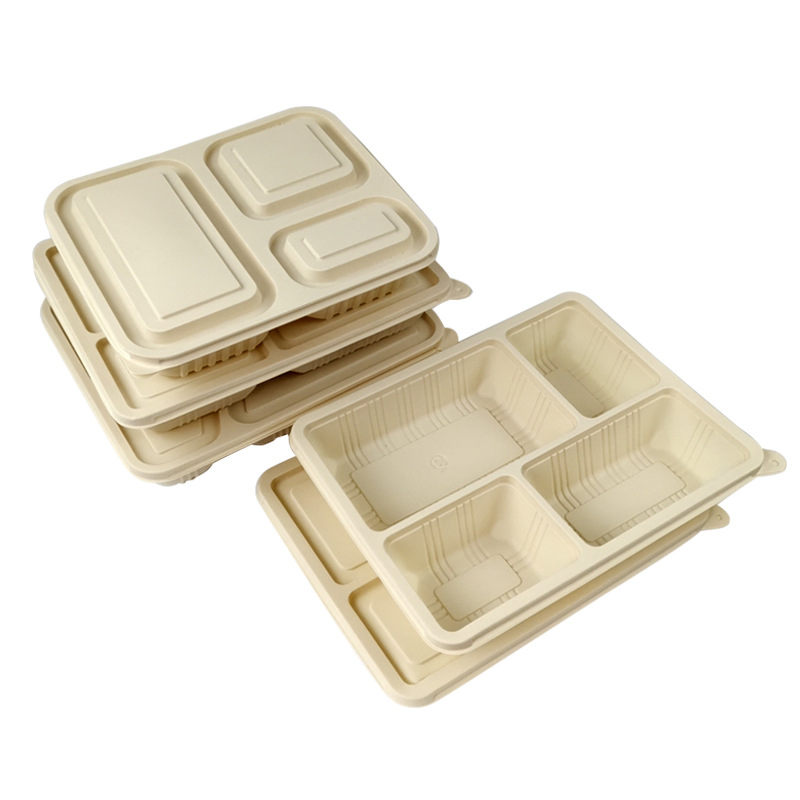 Disposable Fast Food Box Natural Eco-Friendly Biodegradable Takeaway Packing Box