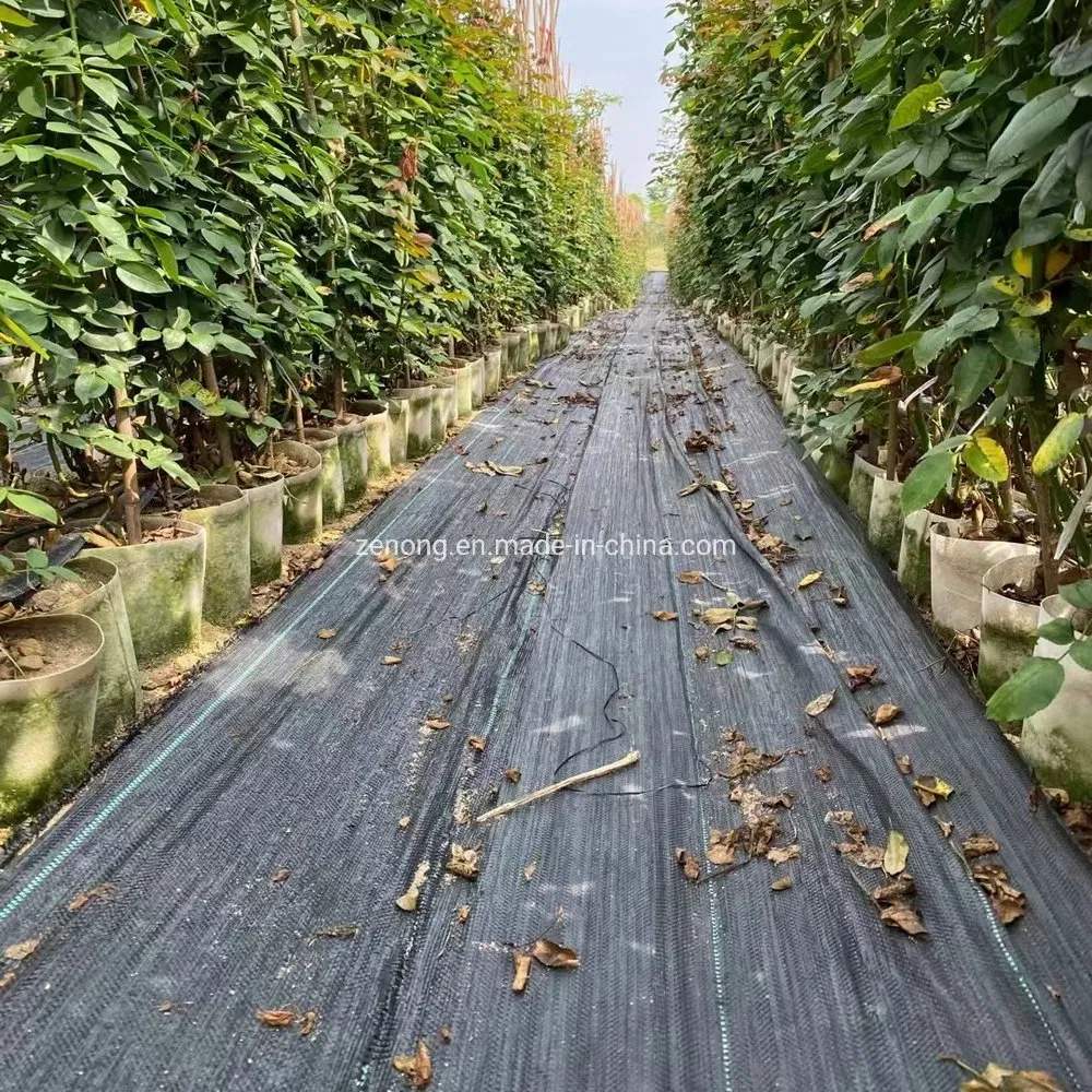 High Quality 100GSM 4X200m Weed Anti-Grass Control Weed Mat PP PE Woven Fabric
