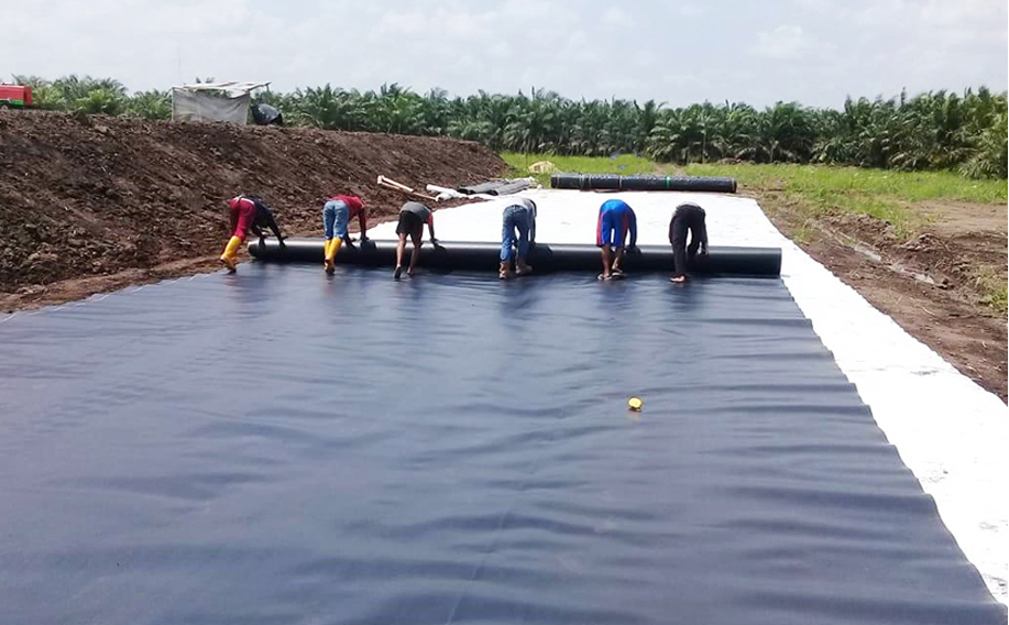 HDPE Black Plastic Geomembrane Liner for Landfill Reinforced Film Swimming Vinyl Pool Liner