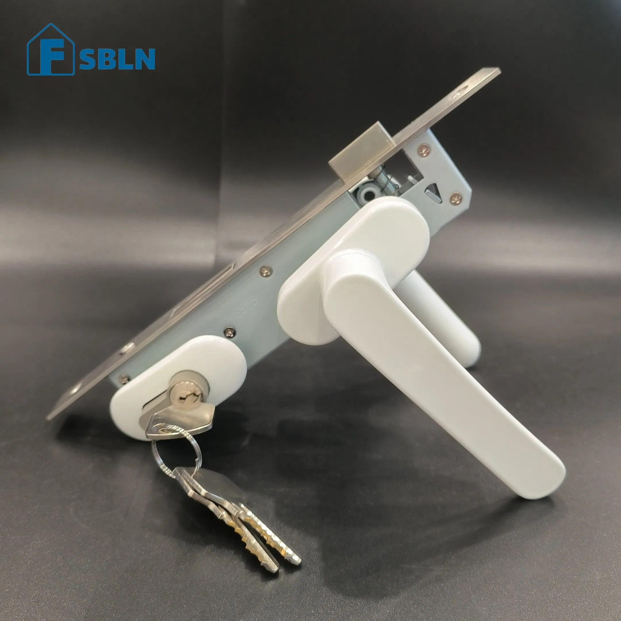 Euro Mortice Locks Lock for Sliding Door Bln Security Cylinder Door Locks Mortise Door Handle Lock