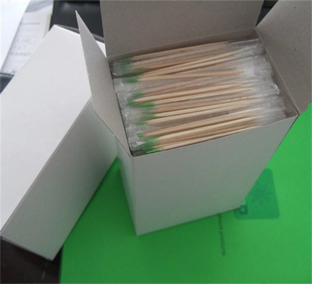High Quality Logo Environmental Protection Wood Bamboo Toothpick Copper Paper OPP Plastic Wrraped Minit Toothpick