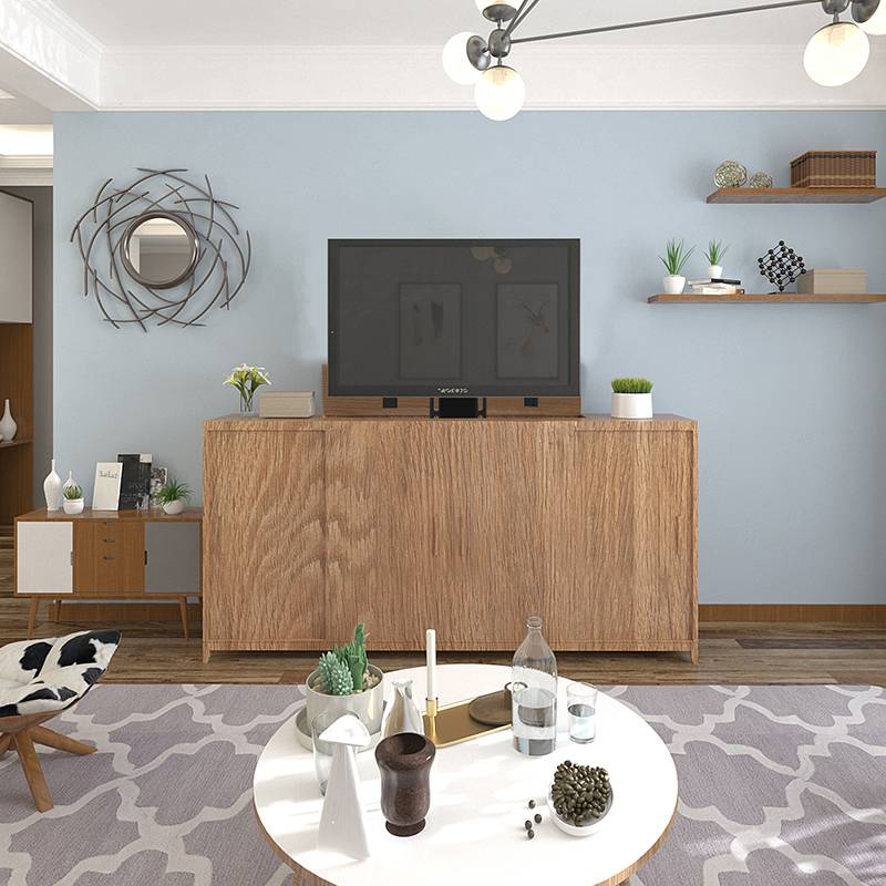 Wall Mount LCD TV Adjustable Classic Little Noise Safe Certified TV Lift Bracket with After-Sales Support