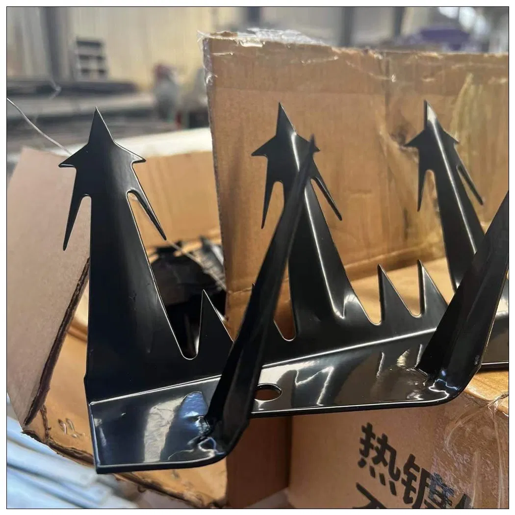 Hot Dipped Galvanized PVC Coating Wall Spikes