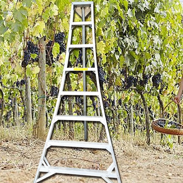Multi Purpose Aluminium Step Orchard Position Ladder Adjustable