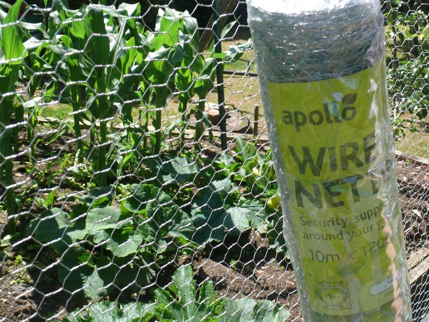 Hexagonal Mesh Fence Chicken Wire/Chicken Wire Netting/Rabbit Wire Netting