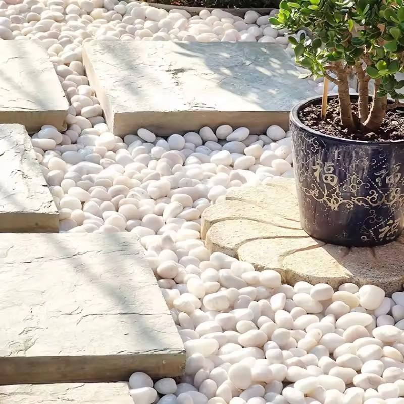Natural Colorful Pebble Stones for Garden Pathways and Aquariums