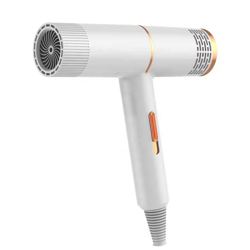Professional Quick-Dry Hair Dryer for Home and Travel