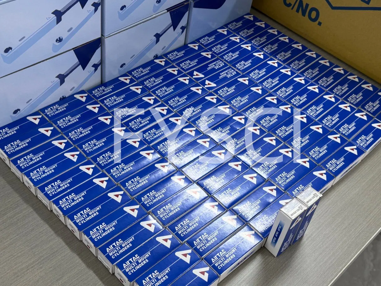 Пневмоцилиндр Airtec TN10X25S с двойным штоком и магнитом