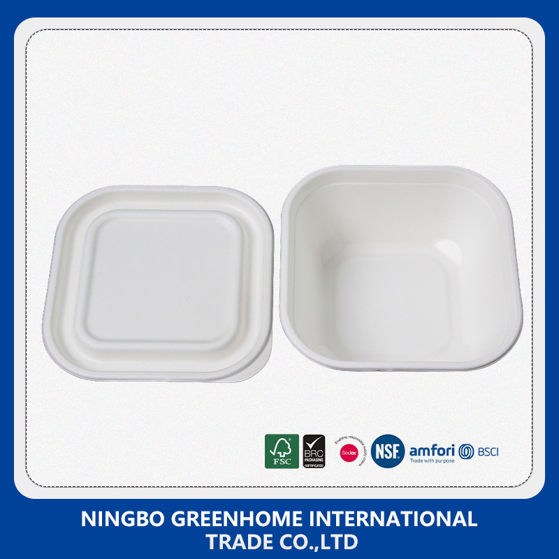 Biodegradable Compostable Dinner Set Sugarcane Bagasse Lunch Box