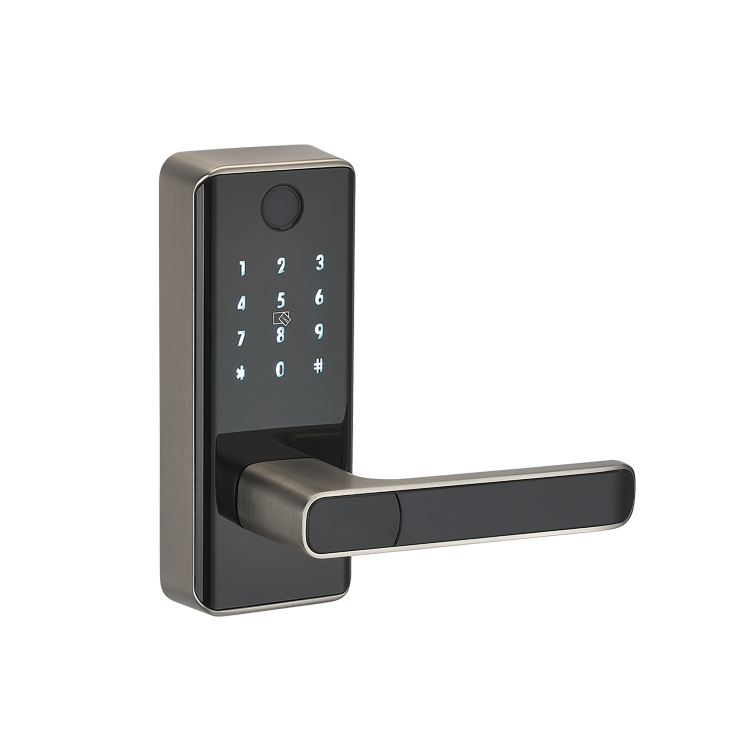 Smart Fingerprint Smart Lock Door Lock for Home Security Solutions