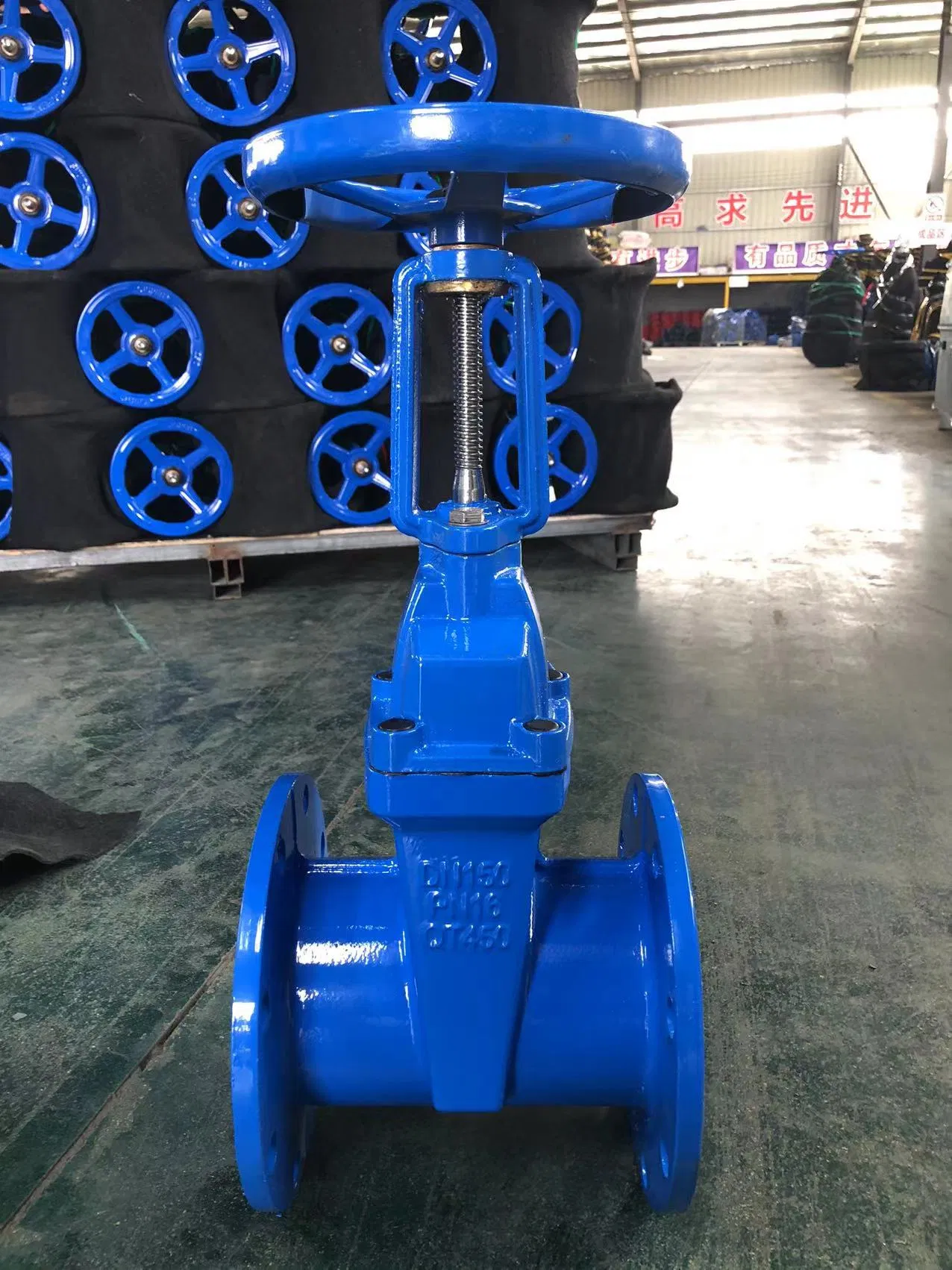 China Manufacturer Cast Iron Cast Steel Resilient Seated Rising Stem Wedge Gate Valve