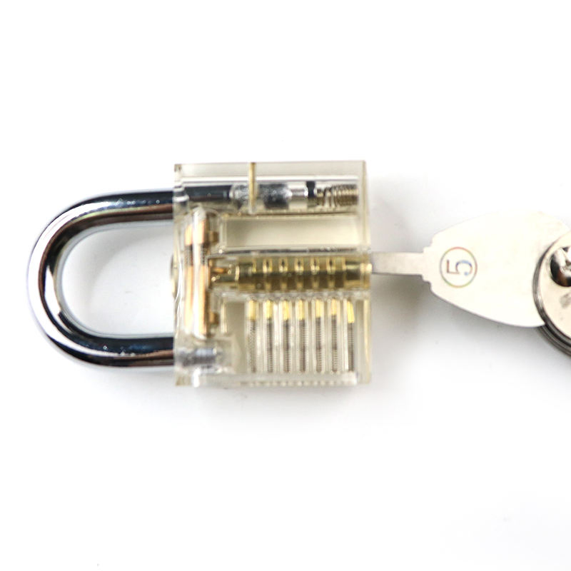 Locksmith Gift Training 10 PCS Transparent Padlock Extractor Set Lock Pick