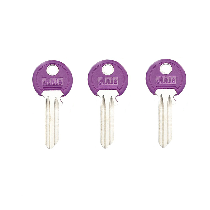 House Door Colored Key Blanks