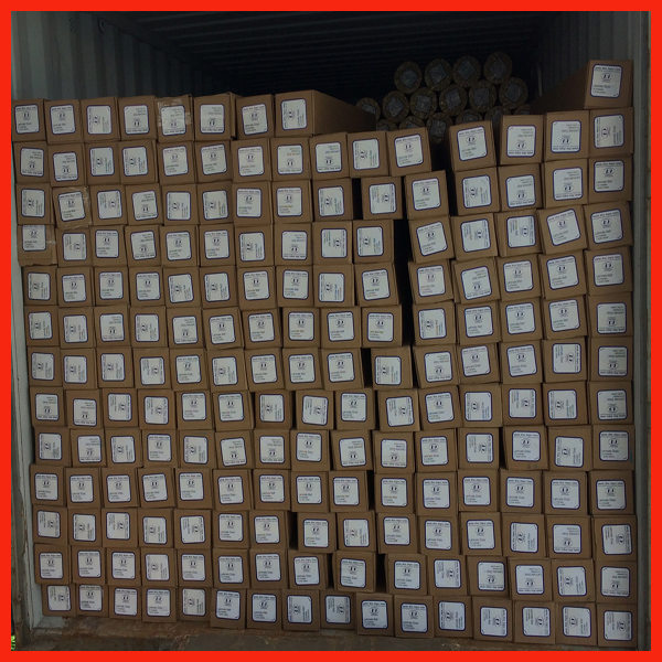 Eco Pet Solvent Grey Back Pet Film for Indoor Roll up