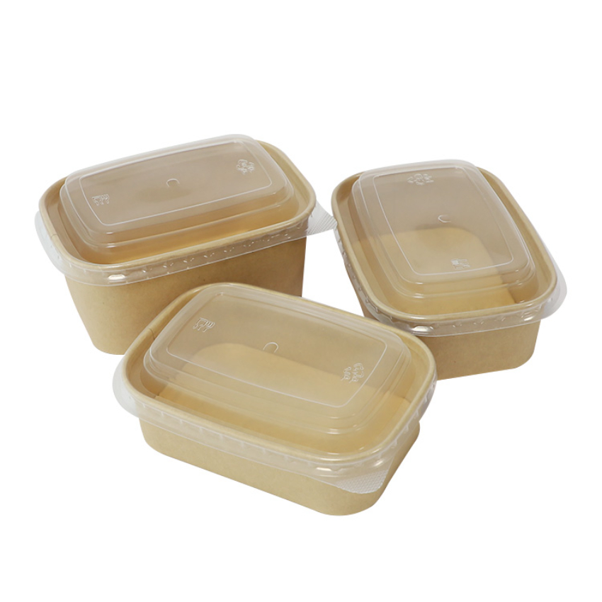 Customized Printed Eco-Friendly Leak-Proof Disposable Paper Salad Bowl with Lids