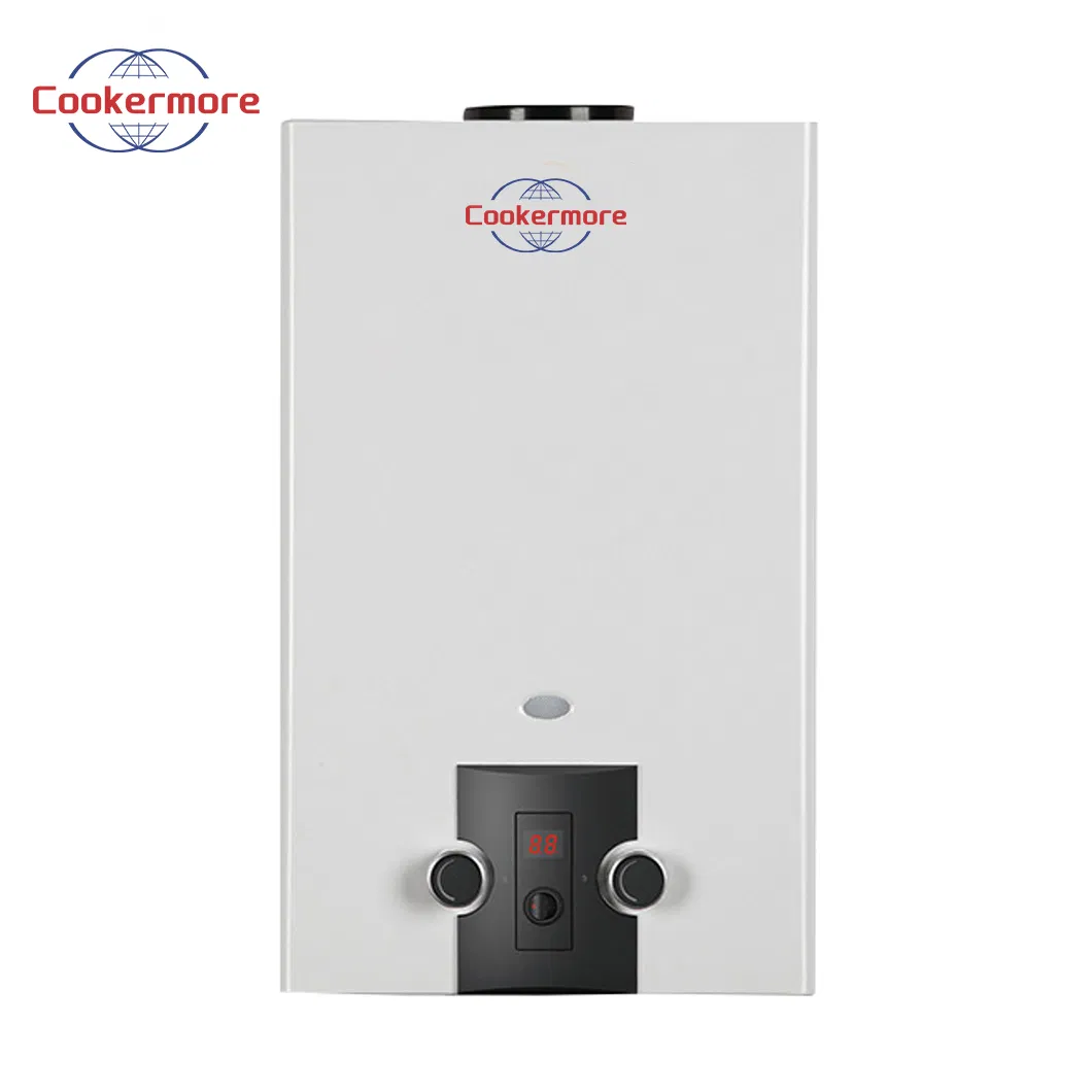 Supplier Customized Home Hermetic Portable Instant Gas Water Heater