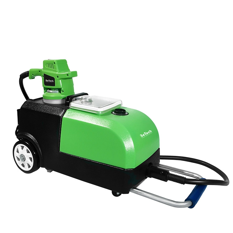 Professional Electric Carpet Washing Machine 220V Handheld Sofa Curtain Cleaning Machine New Condition