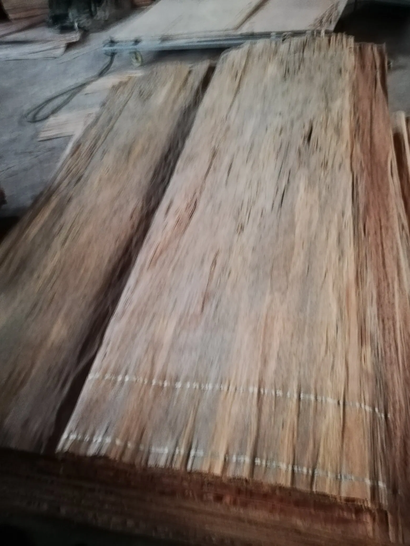 Factory-Natural Veneer Plb, PA and Bur Veneer in 0.25mm