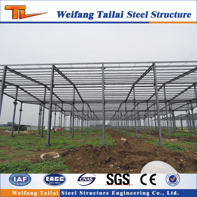 China Supplier Cheap Low Cost Steel Structure Prefab Bodega Warehouse Workshop
