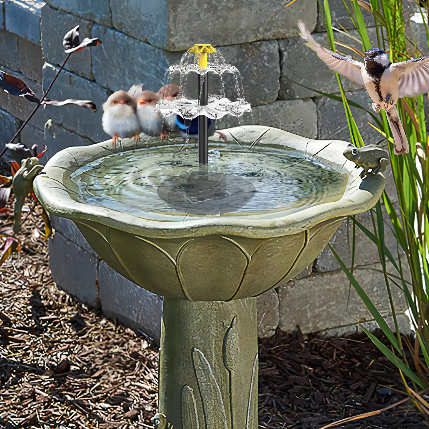 Attractive 2W Solar Powered Fountain for Enhancing Outdoor Environments