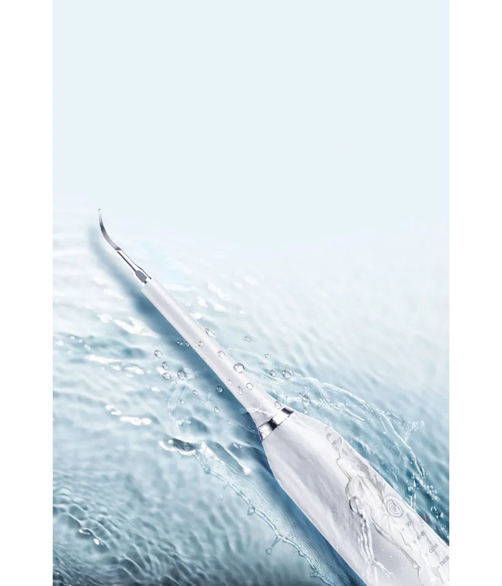 Factory Price Simple and Beautiful Multi-Functional Dual-Use Electric Toothbrush Ipx7 Electric Toothbrush