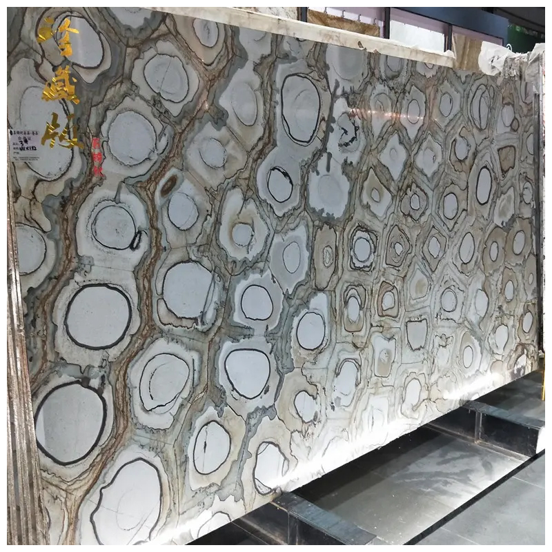 Brazilian Exotic Fossil Velours Quartzite Slabs for Countertops and Walls