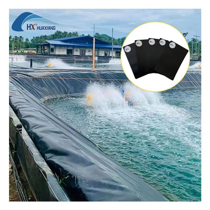 Heavy-Duty Black HDPE Geomembrane Roll 0.5mm Polyethylene Pond Liner for Fish