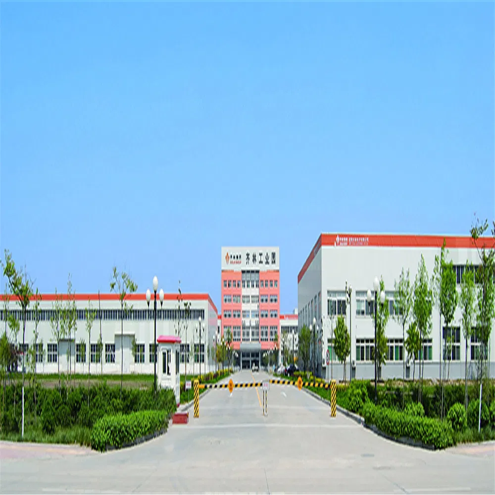 Economical Custom Design Attractive Price New Type Steel Structure Mall